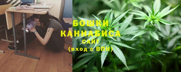 apvp Верея